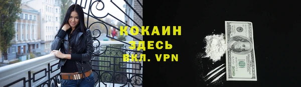 индика Рославль