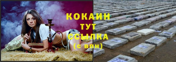 индика Рославль