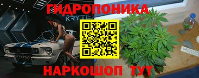 spice Гусев