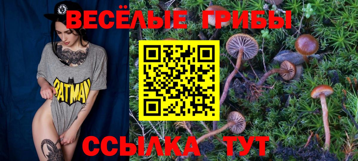 Псилоцибиновые грибы MAGIC MUSHROOMS Протвино