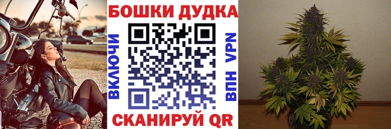 Каннабис планчик  как найти закладки  Протвино 